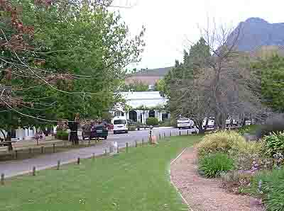 Backsberg Estate