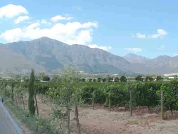 Franschhoek