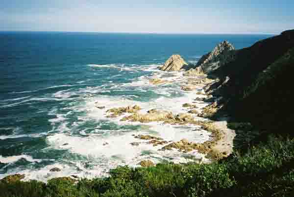 cliffs in the Harkerville State Forest