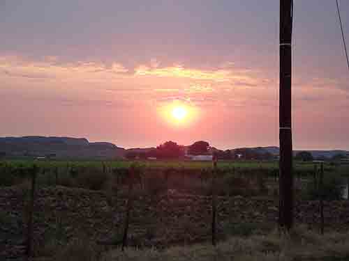  Tours in Cape Town