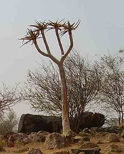  Tours in Cape Town