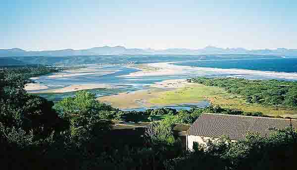  River mouth 