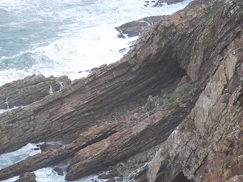  Mossel bay