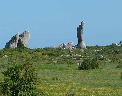  Rock finger 