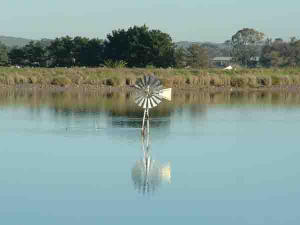 Windmill
