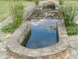  Fish pond