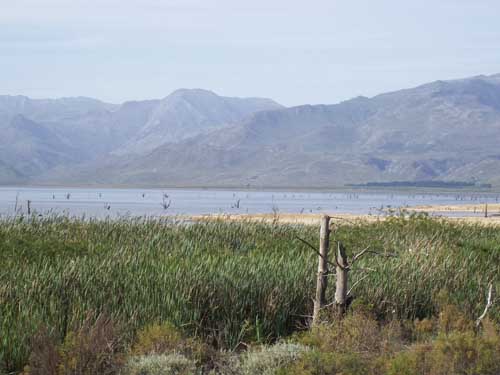  Theewaterskloof Dam  Cape Town