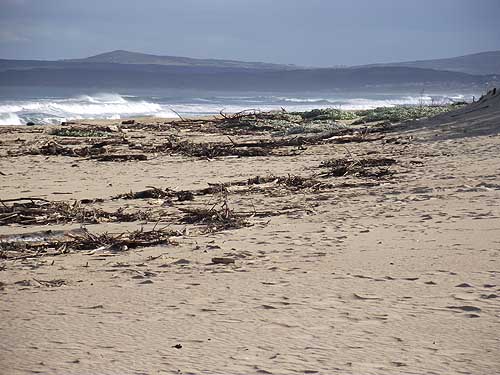  Tours in Cape Town