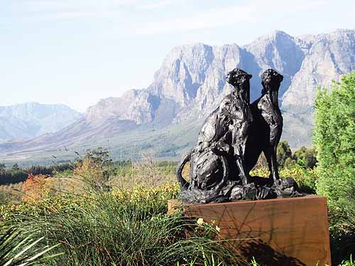 Cape Town