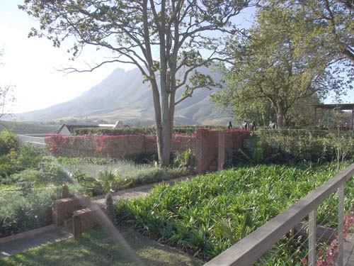  Cape Town