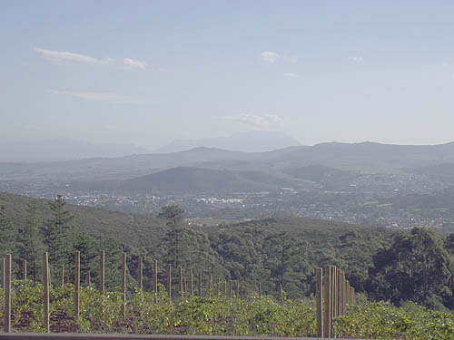  Delaire Cape Town
