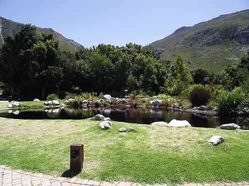  Tours in Cape Town