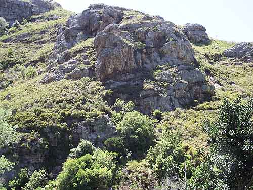  Tours in Cape Town
