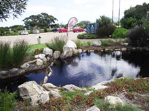  Tours in Cape Town