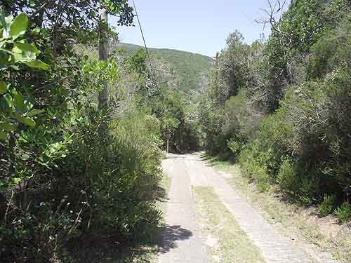 Knysna
