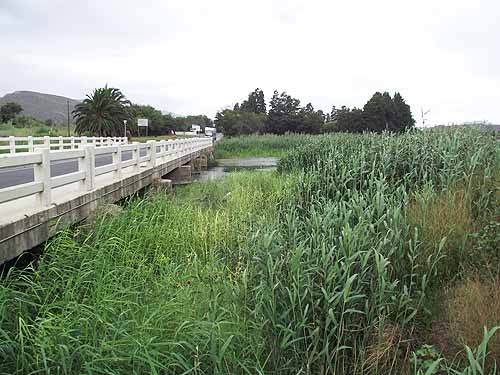  Tours in Cape Town