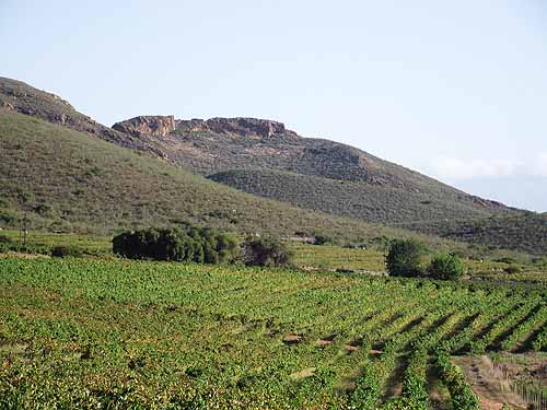  Tours in Cape Town