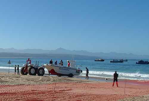  Tours in Cape Town