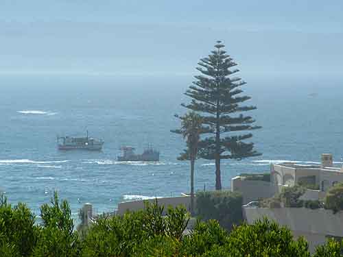  Tours in Cape Town
