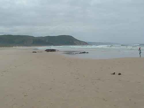  Tours in Cape Town