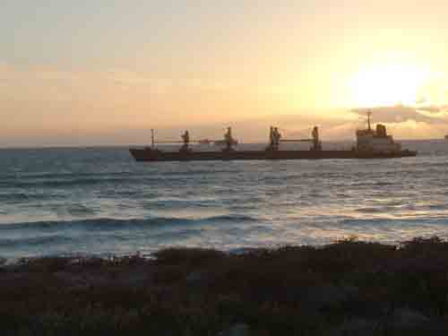 Seli1